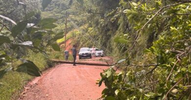 Defesa Civil de Gaspar registra uma ocorrência após chuvas intensas nesta quarta-feira